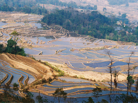 紅河州旅游發(fā)展總體規(guī)劃在昆明通過評審