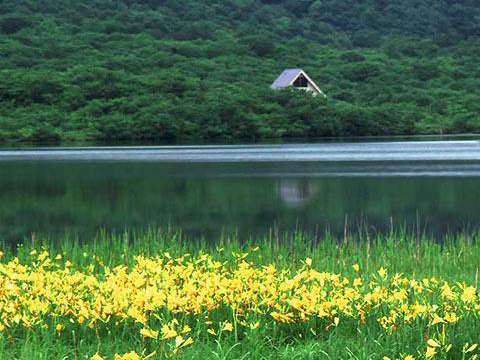 環(huán)巢湖旅游度假區(qū)規(guī)劃通過中期審議