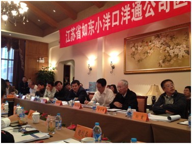 如東小洋口洋通公司區域規劃通過評審