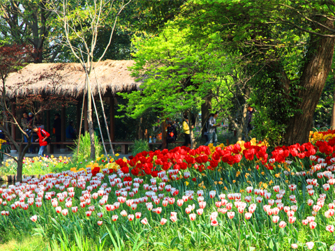 全國(guó)生態(tài)旅游發(fā)展綱要
